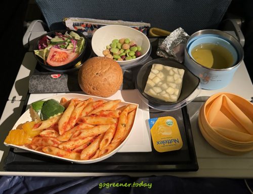 永續旅行-我在前往丹麥的飛機上,與鄰座陌生乘客合力減塑的小故事!