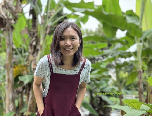Poo-free 不用洗髮精,三週年!