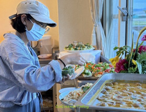 宜蘭民宿蔬食外燴-一簞食 & Juanita小小農開張!