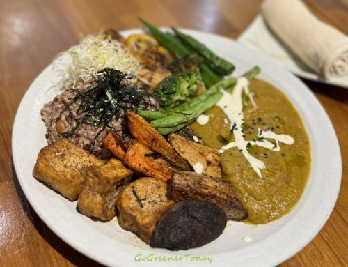 台北|再見了!諦.共饗空間Satya Veganism SS.!