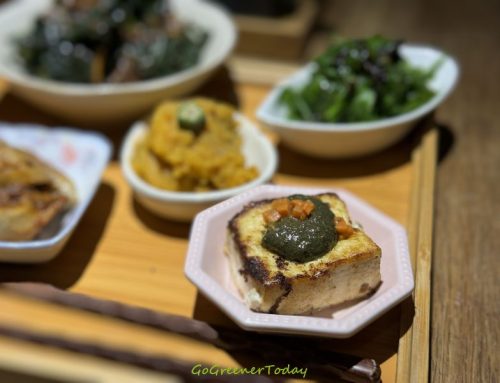 台東市區|老房,大樹,小院,在地食材與美味蔬食農夫餐-橋Chiao