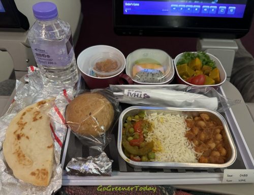 這次出發搭了泰國航空,選了VJML純植蔬食飛機餐!