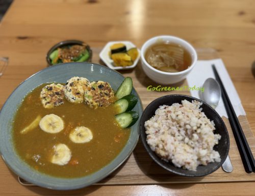 新北大坪林|讓我同一天午餐晚餐,都吃同一家的美味餐廳-原粹蔬食作!